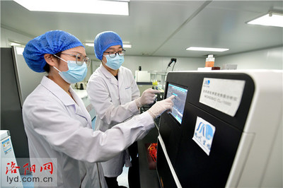 洛陽現代生物技術研究院 以創新研發護航畜禽產品安全，生物技術鑄就防控新防線